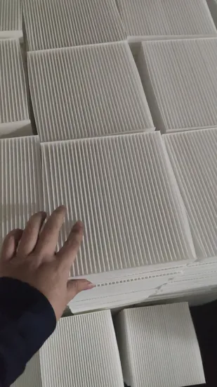 Qlent Produttore Filtro aria condizionata auto per ricambi auto all'ingrosso di alta qualità 1017008095